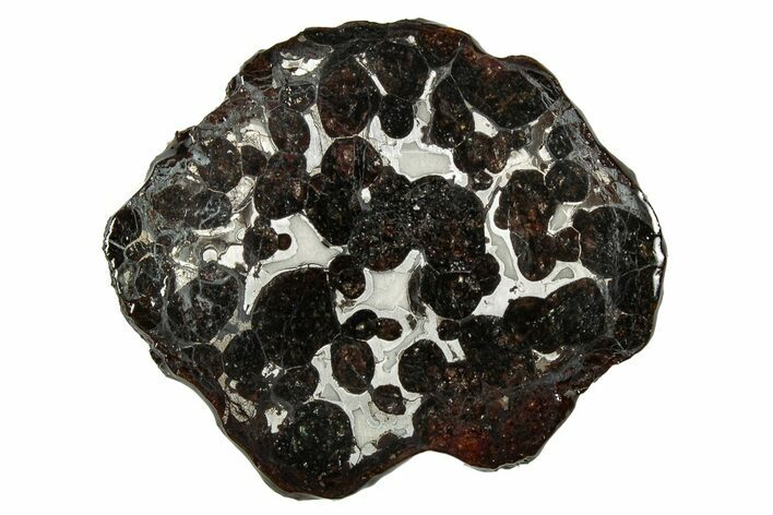 Sericho Pallasite Meteorite ( g) Slice - Kenya #335773